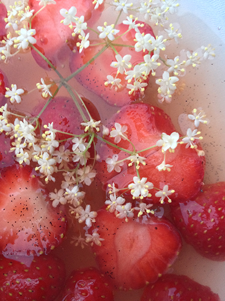 2Qsqsgp6QvYq6wC Vanillia-Fruchtsuppe